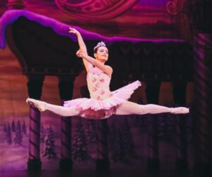 dew-drop-nutcracker