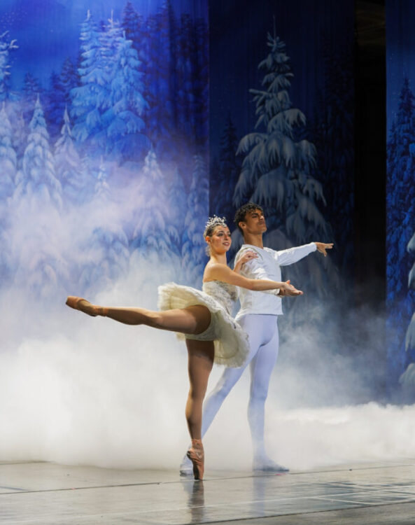 Nutcracker Image